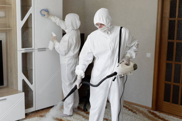 Best Industrial Mold Remediation in Muskegon Heights, MI