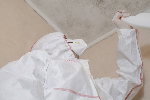 Best Insurance-Related Mold Remediation in Muskegon Heights, MI